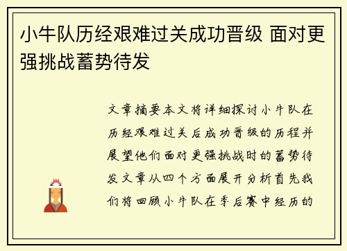 小牛队历经艰难过关成功晋级 面对更强挑战蓄势待发